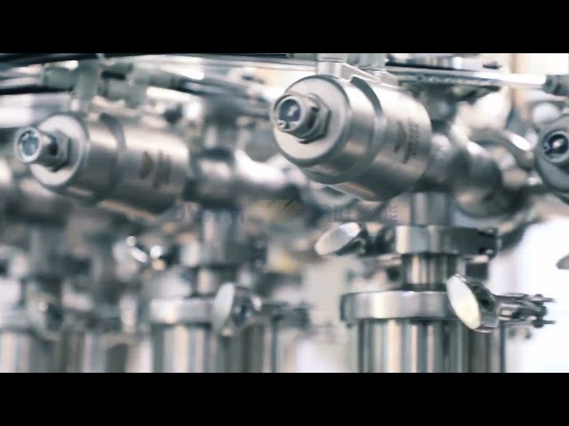 CCG1000-12TJ Piston Filling Machine