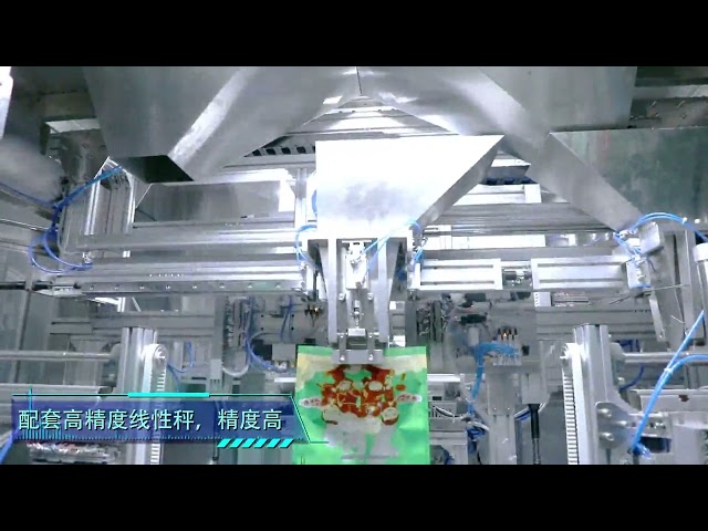 DGD-10K-2A Bag Packing Machine