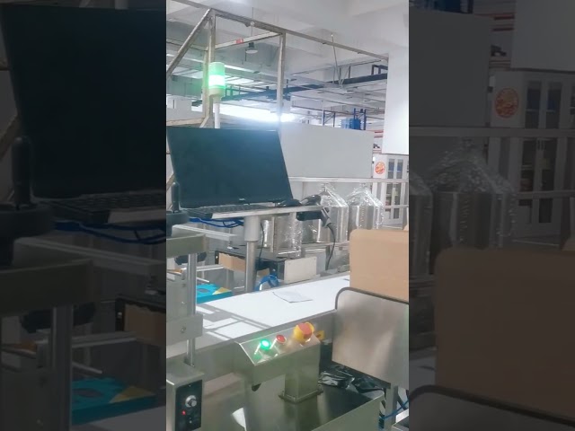 DXD-180D Automatic Horizontal Pouch Packing Machine 5-200g Roll Film Packaging