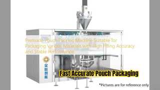 DGD 180BJ Automatic Premade Pouch Packing Machine