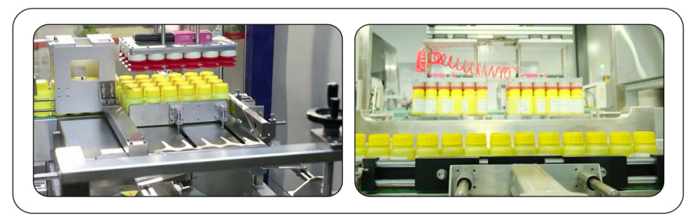 KZ-2T Full Automatic Carton Packing Machine For Regular Round Or Square Glass Bottles And Plastic Bottles