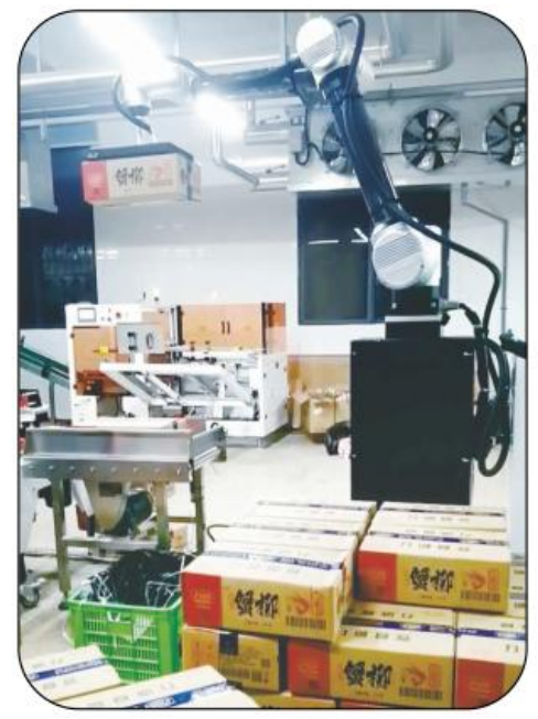 Ai-RMD30 AI Collaborative Palletizing Robot (≤9 Cartons/Min) – Intelligent Flexible Palletizing Solution for Multiple Scenarios