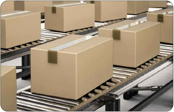 Revolutionize Palletizing With Palletizing Visual Recognition Technology